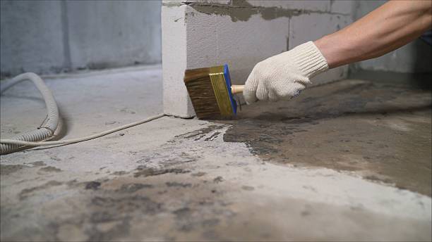 Top rated local Wet Basement Repair specialists in Spring Arbor, MI